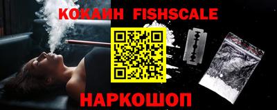 шишки Партизанск
