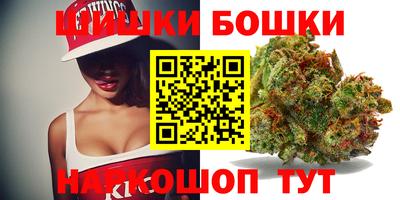 шишки Партизанск