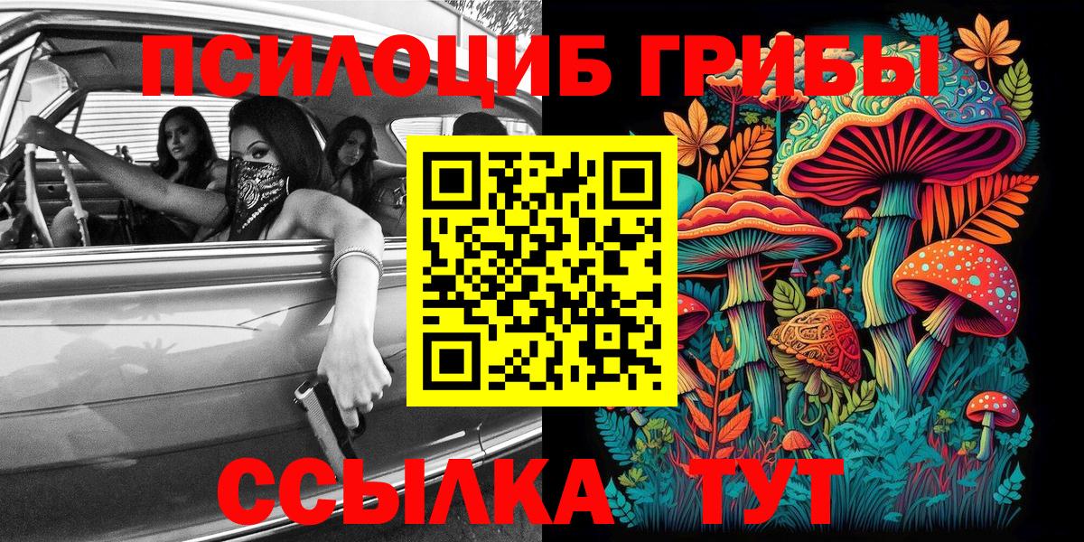 Псилоцибиновые грибы GOLDEN TEACHER  Вход с VPN  Псилоцибиновые грибы Psilocybine cubensis  Строитель 