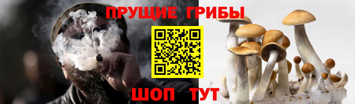 Псилоцибиновые грибы мухоморы Строитель